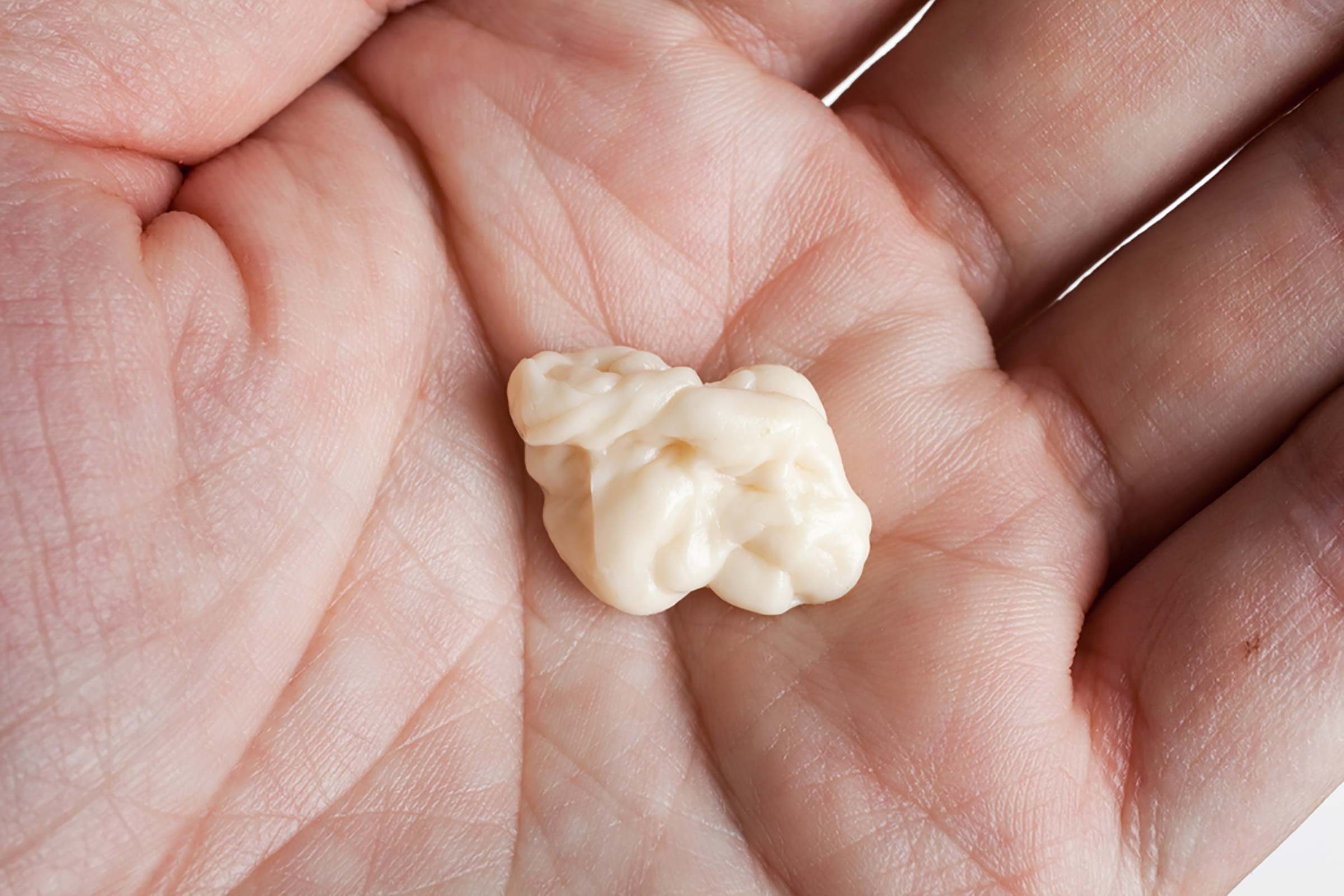 gum
