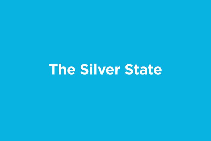 the silver state