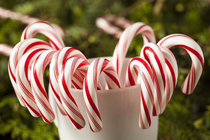 Festive Red and White Peppermint Candy Canes