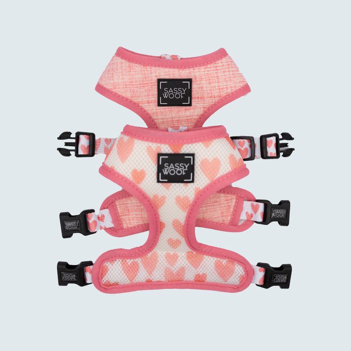 Sassy Woof Reversible Harness