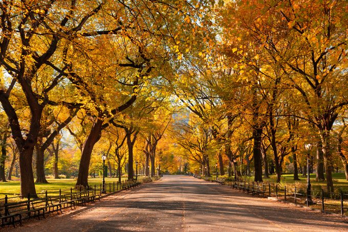 New Report: This Is the Top-Rated Tourist Attraction in the U.S.—and It’s Completely Free!