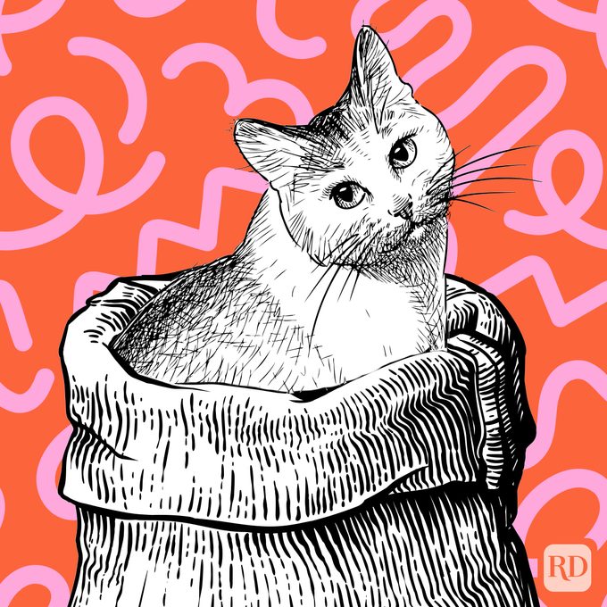 The True Origin of “Let the Cat Out of the Bag”